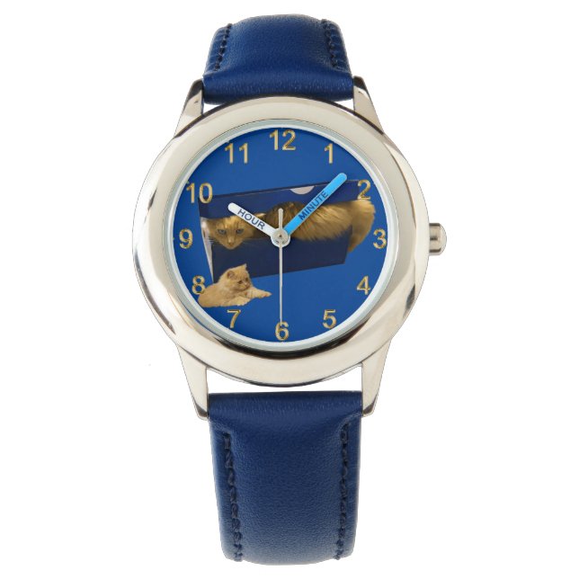 Montre "Cosy Hideaway : The Ginger Cat in the Shoe Box" (devant)