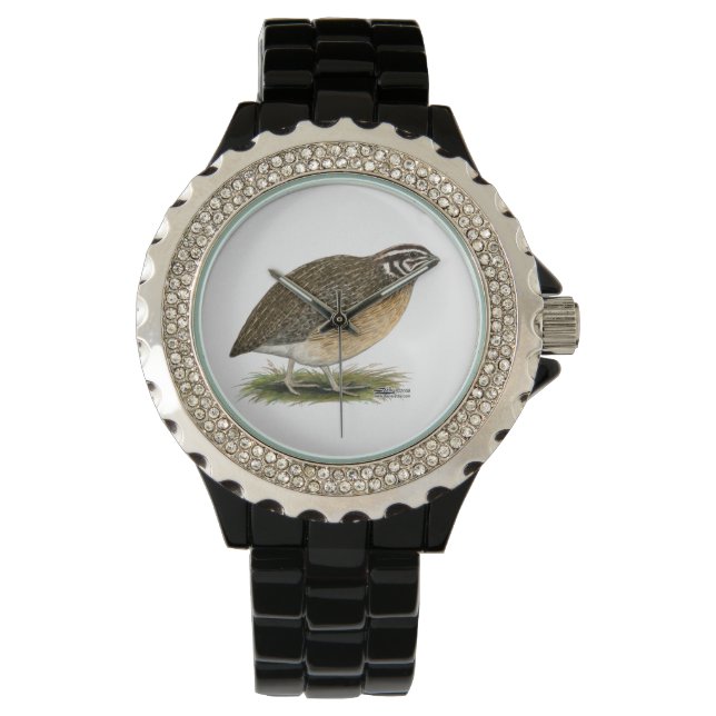 Montre Coturnix Pharaoh (devant)