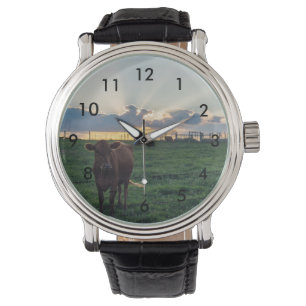 Montre Coucher de soleil dans une ferme bovine