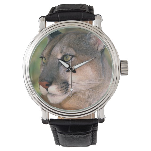 Montre Cougar, Californie (devant)