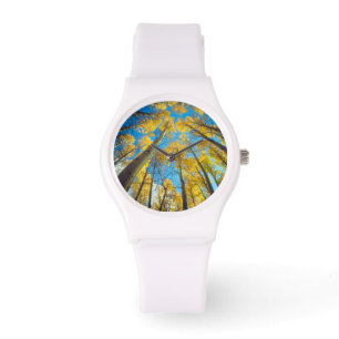 Montre Couleurs d'automne des arbres d'Aspen 2