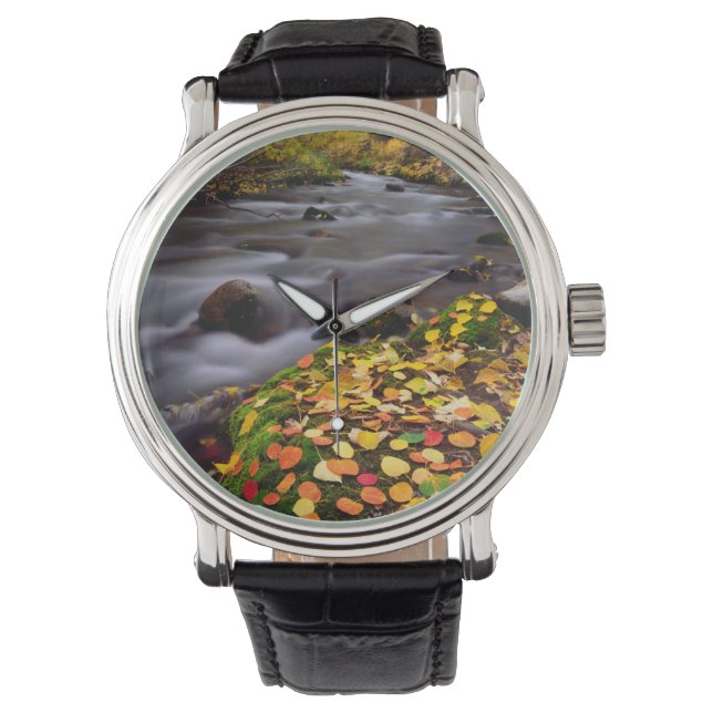 Montre Couleurs d'automne le long du ruisseau McGee (devant)