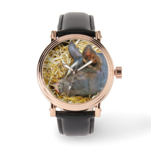 MONTRE COUPER
