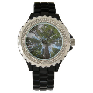 Montre couvert de sapin de Douglas