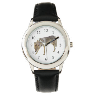 Montre Coyote