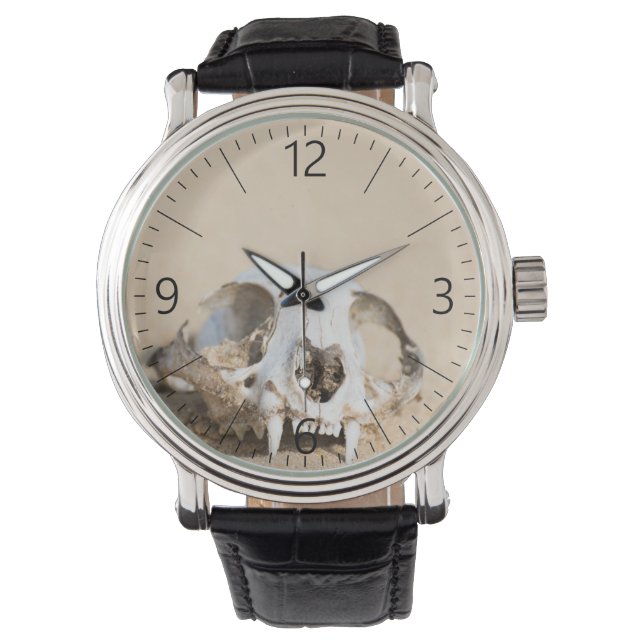 Montre Crâne animal (devant)