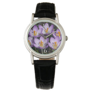 Montre Crocus violets ensoleillés