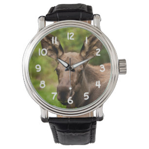 Montre Curieux orignal