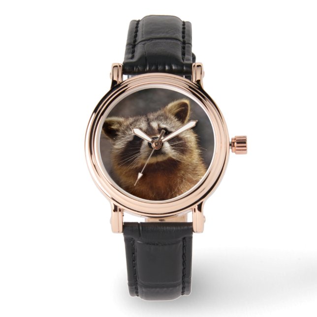 Montre Curieux Raccoon (Recto)