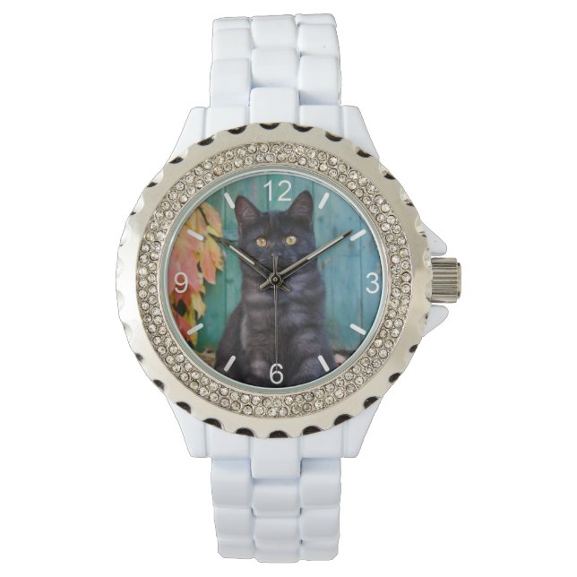 Montre Cute Black Chat Kitten Porte Bleue Photo - cadran (devant)