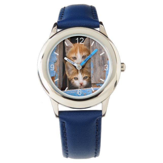 Montre Cute Chatte Chatte Kittens en Vintage Bleu Fenêtre (devant)