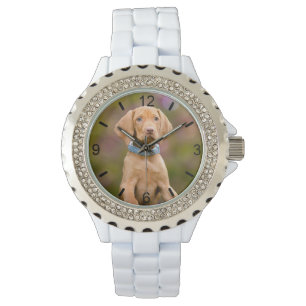Montre Cute Hongroise Vizsla Chien Chien Chien Puppy Phot