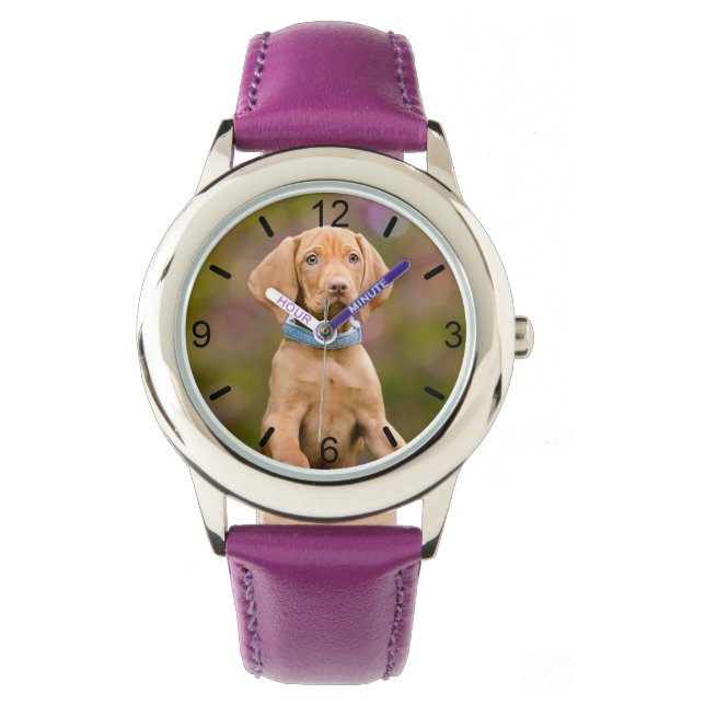 Montre Cute Hongroise Vizsla Chien Chien Chien Puppy Phot (devant)