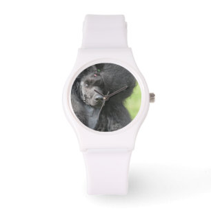 Montre Cute Poodle noir