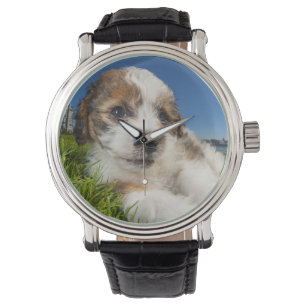 Montre Cute puppy dog
