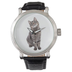 Montre Cute tabby Cat