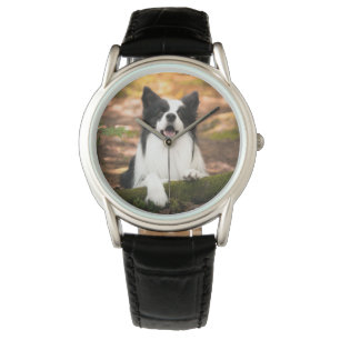 Montre Cutest Baby Animals   Black and White Border Colli