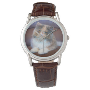 Montre Cutest Baby Animals   Calico Persian Kitten
