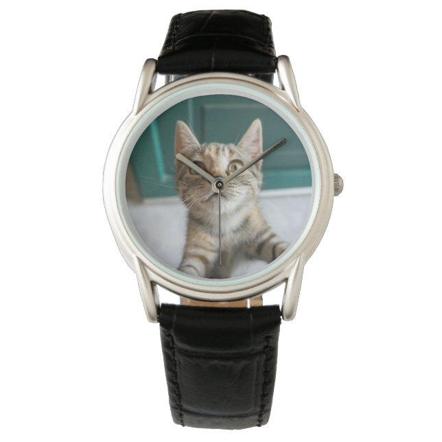 Montre Cutest Baby Animals | Cute Tabby Kitten (devant)
