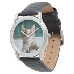 Montre Cutest Baby Animals Cute Tabby Kitten