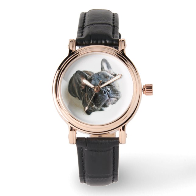 Montre Cutest Baby Animals | French Bulldog Look Up (Recto)