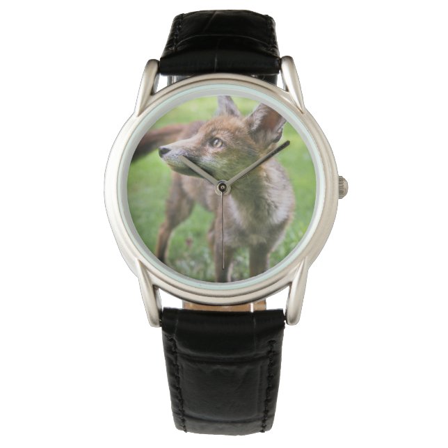 Montre Cutest Baby Animals | Urban Fox (devant)