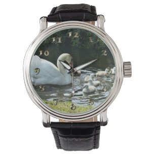 Montre Cygne blanc avec poules