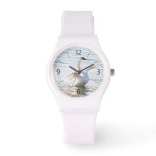 Montre Cygnus cygne blanc