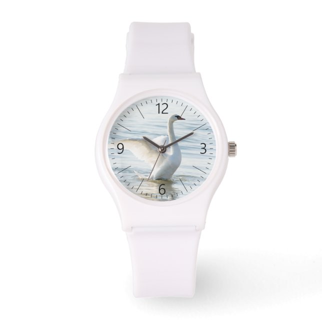 Montre Cygnus cygne blanc (Recto)