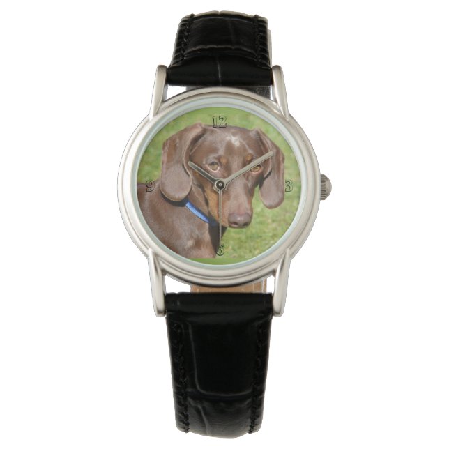 Montre Dachshund (devant)