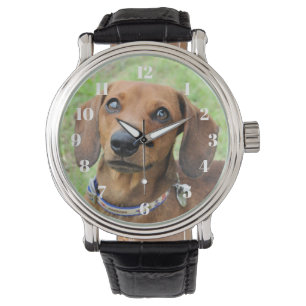 Montre Dachshund