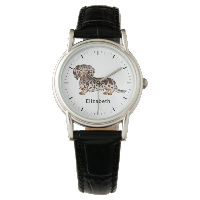 Montre Dachshund à longs poils chocolat et panaché de tan (devant)