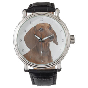 Montre Dachshund Watch