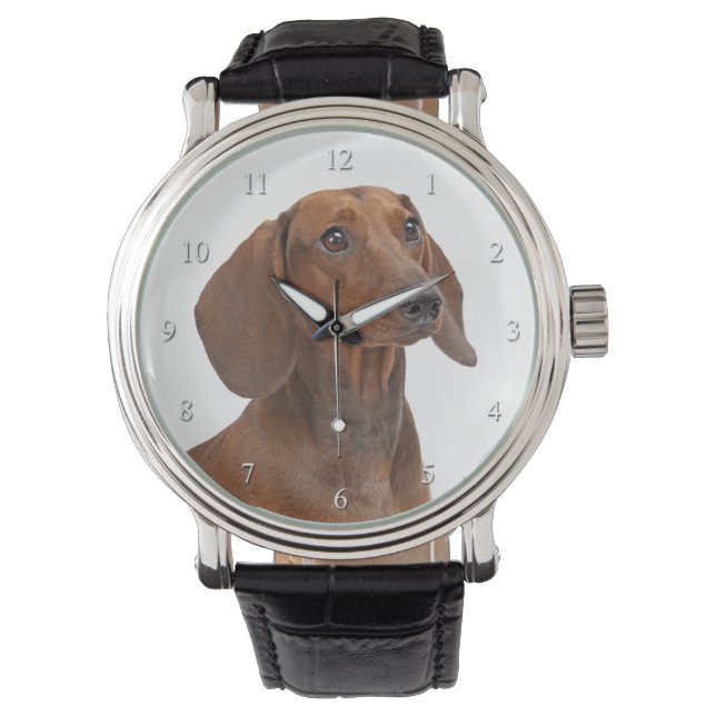 Montre Dachshund Watch (devant)