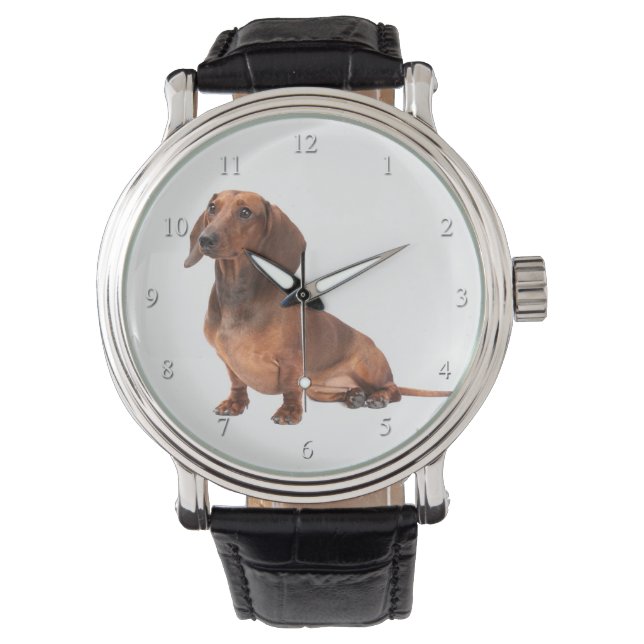 Montre Dachshund Watch (devant)