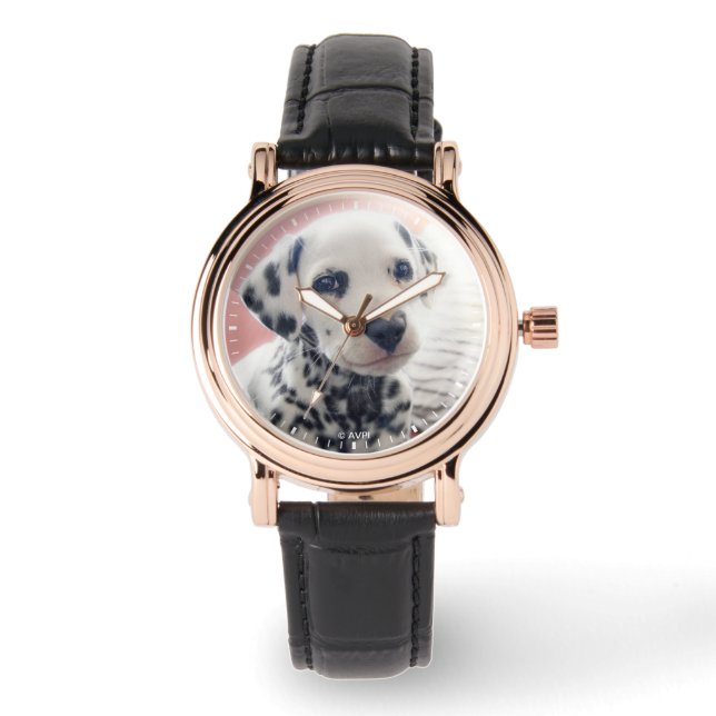 Montre Dalmatien Nez de Coeur (Recto)