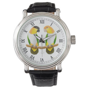 Montre d'amour de perroquet de caïque