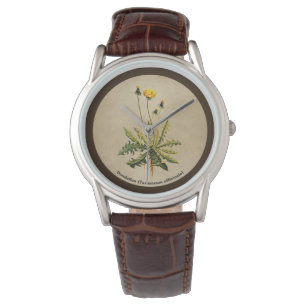 Montre Dandelion Sur Vieux Papier