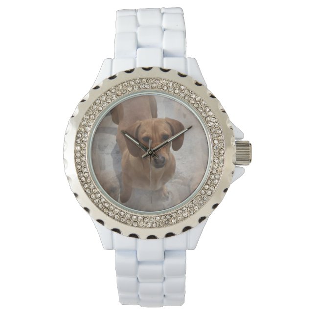 Montre Daschund (devant)