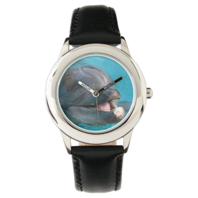 Montre Dauphin pédestre (devant)