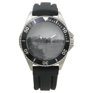 Montre De beaux arbres et la nature dans le brouillard
