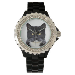 Montre De Chat Noir Et Blanc En Colère