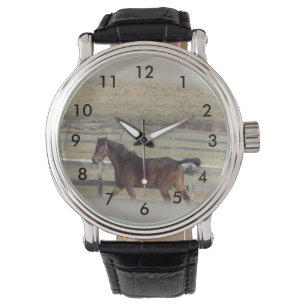 Montre de cheval