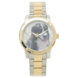 Montre de chien de montagne de Bernese