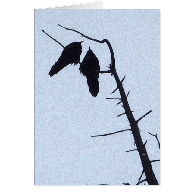 Montre de corneille (Devant)