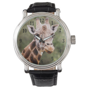 Montre de girafe
