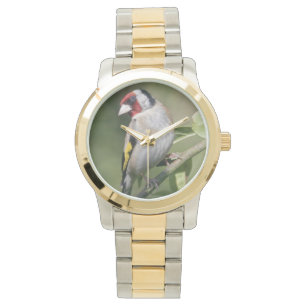 Montre de Goldie