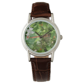 Montre de libellule de fléchette commune