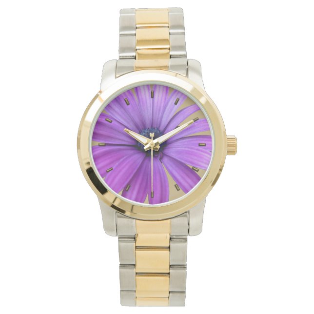 Montre de marguerite mauve de marguerite (devant)