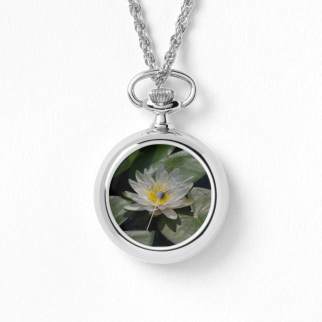 Montre de Nénuphar de Lotus blanc (Recto)